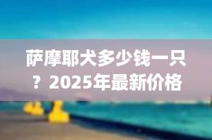 萨摩耶犬多少钱一只？2025年最新价格指南+选购避坑全攻略