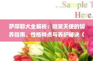 萨摩耶犬全解析：微笑天使的饲养指南、性格特点与养护秘诀（2025最新版）