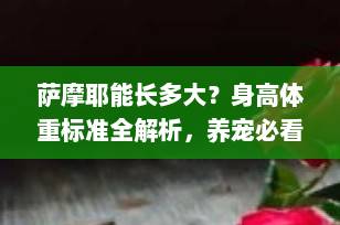 萨摩耶能长多大？身高体重标准全解析，养宠必看！