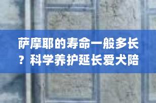 萨摩耶的寿命一般多长？科学养护延长爱犬陪伴时间（2025最新指南）
