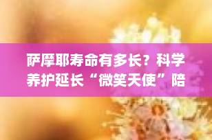 萨摩耶寿命有多长？科学养护延长“微笑天使”陪伴时间
