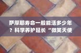 萨摩耶寿命一般能活多少年？科学养护延长“微笑天使”生命的关键秘诀