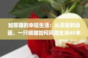 加菲猫的幸福生活：从漫画到动画，一只橘猫如何风靡全球45年？