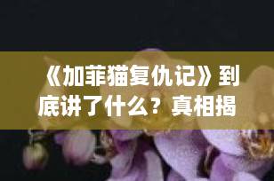 《加菲猫复仇记》到底讲了什么？真相揭秘+角色解析，宠物迷必看！