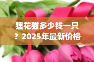 狸花猫多少钱一只？2025年最新价格指南+选购避坑全攻略
