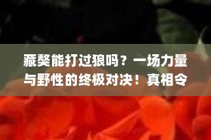 藏獒能打过狼吗？一场力量与野性的终极对决！真相令人意外