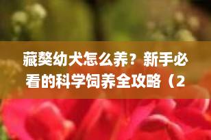藏獒幼犬怎么养？新手必看的科学饲养全攻略（2025最新版）