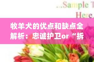 牧羊犬的优点和缺点全解析：忠诚护卫or“拆家”高手？养前必看！