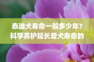 泰迪犬寿命一般多少年？科学养护延长爱犬寿命的5大秘诀