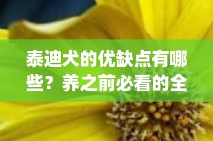 泰迪犬的优缺点有哪些？养之前必看的全面分析（2025最新版）
