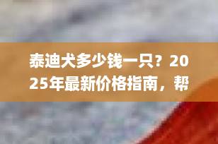 泰迪犬多少钱一只？2025年最新价格指南，帮你避坑不花冤枉钱！