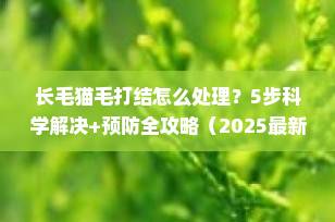 长毛猫毛打结怎么处理？5步科学解决+预防全攻略（2025最新版）