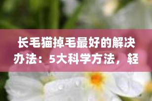 长毛猫掉毛最好的解决办法：5大科学方法，轻松告别“蒲公英”模式！