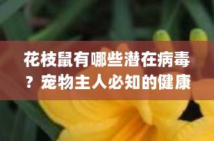 花枝鼠有哪些潜在病毒？宠物主人必知的健康风险与预防指南