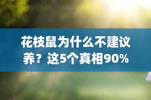 花枝鼠为什么不建议养？这5个真相90%的人都忽略了！