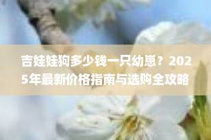 吉娃娃狗多少钱一只幼崽？2025年最新价格指南与选购全攻略