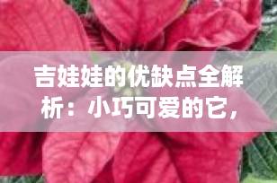 吉娃娃的优缺点全解析：小巧可爱的它，真的适合你家吗？