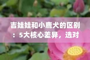 吉娃娃和小鹿犬的区别：5大核心差异，选对爱犬的关键指南（2025最新版）