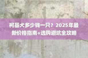 柯基犬多少钱一只？2025年最新价格指南+选购避坑全攻略