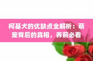 柯基犬的优缺点全解析：萌宠背后的真相，养前必看！