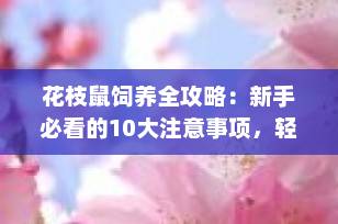 花枝鼠饲养全攻略：新手必看的10大注意事项，轻松养出健康快乐鼠宝！
