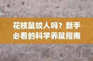 花枝鼠咬人吗？新手必看的科学养鼠指南，99%的人都误解了！