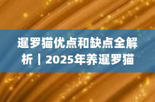 暹罗猫优点和缺点全解析｜2025年养暹罗猫前必看指南，好养吗？