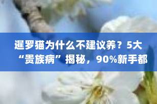 暹罗猫为什么不建议养？5大“贵族病”揭秘，90%新手都忽略了！