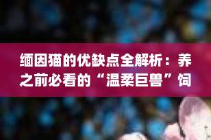 缅因猫的优缺点全解析：养之前必看的“温柔巨兽”饲养指南（2025最新版）