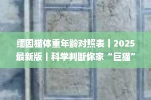 缅因猫体重年龄对照表｜2025最新版｜科学判断你家“巨猫”是否达标！