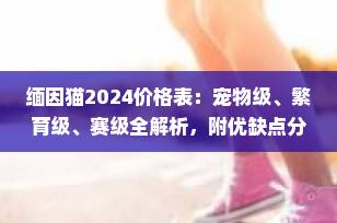 缅因猫2024价格表：宠物级、繁育级、赛级全解析，附优缺点分析（2024最新指南）