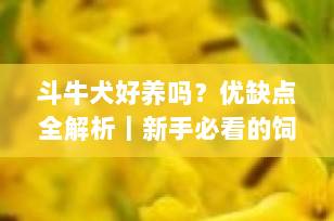 斗牛犬好养吗？优缺点全解析｜新手必看的饲养指南（2025最新版）