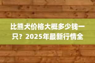 比熊犬价格大概多少钱一只？2025年最新行情全解析（附选购指南）