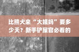 比熊犬来“大姨妈”要多少天？新手铲屎官必看的发情期全攻略