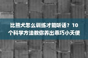 比熊犬怎么训练才能听话？10个科学方法教你养出乖巧小天使！