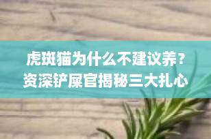 虎斑猫为什么不建议养？资深铲屎官揭秘三大扎心真相（附科学饲养指南）