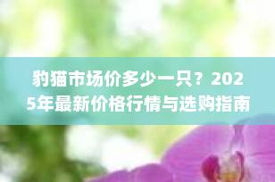 豹猫市场价多少一只？2025年最新价格行情与选购指南