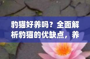 豹猫好养吗？全面解析豹猫的优缺点，养之前必看！
