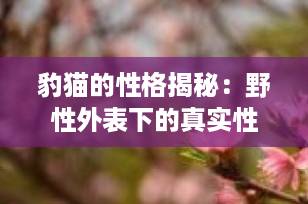 豹猫的性格揭秘：野性外表下的真实性格，能当宠物养吗？