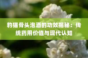 豹猫骨头泡酒的功效揭秘：传统药用价值与现代认知