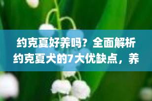 约克夏好养吗？全面解析约克夏犬的7大优缺点，养前必看！