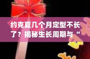约克夏几个月定型不长了？揭秘生长周期与“尴尬期”真相，养宠必看！