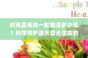 约克夏寿命一般能活多少年？科学养护延长爱犬生命的7大秘诀