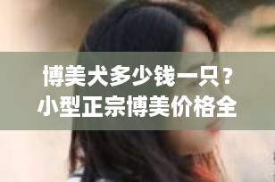 博美犬多少钱一只？小型正宗博美价格全解析（2025最新指南）