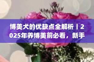 博美犬的优缺点全解析｜2025年养博美前必看，新手也能轻松上手！