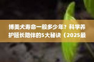 博美犬寿命一般多少年？科学养护延长陪伴的5大秘诀（2025最新指南）