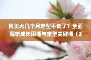 博美犬几个月定型不长了？全面解析成长周期与定型关键期（2025最新指南）