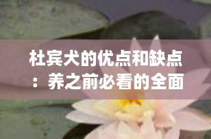 杜宾犬的优点和缺点：养之前必看的全面解析（2025最新版）