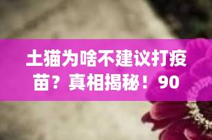 土猫为啥不建议打疫苗？真相揭秘！90%的铲屎官都搞错了