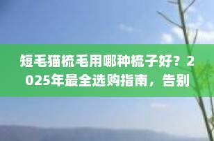 短毛猫梳毛用哪种梳子好？2025年最全选购指南，告别满屋飞毛！